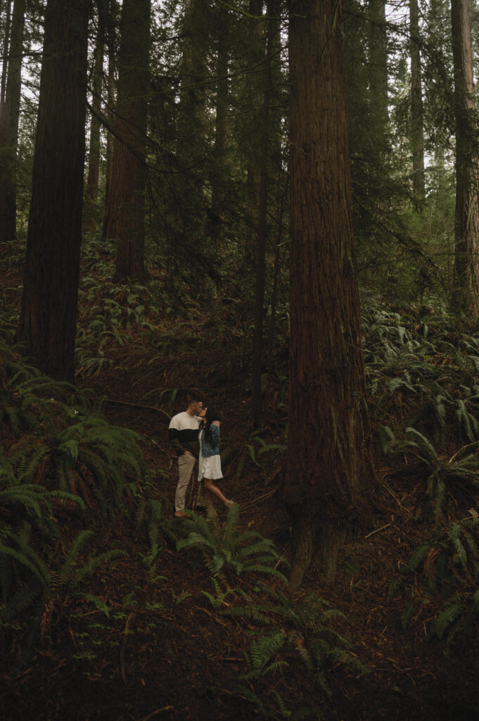 Hoyt Arboretum, Portland Engagement Photos