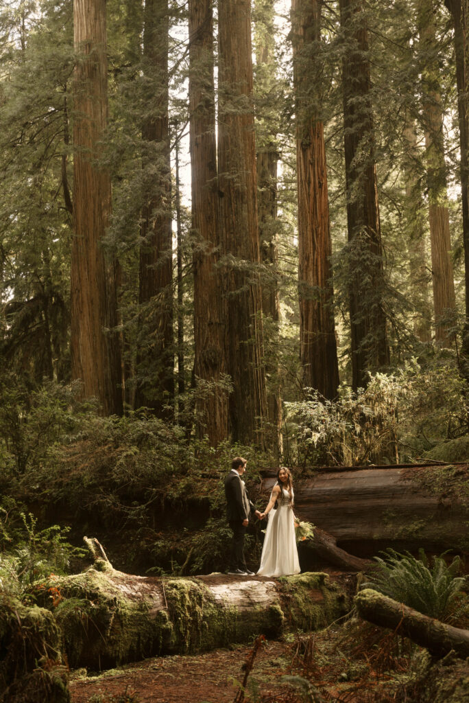 redwoods elopement
