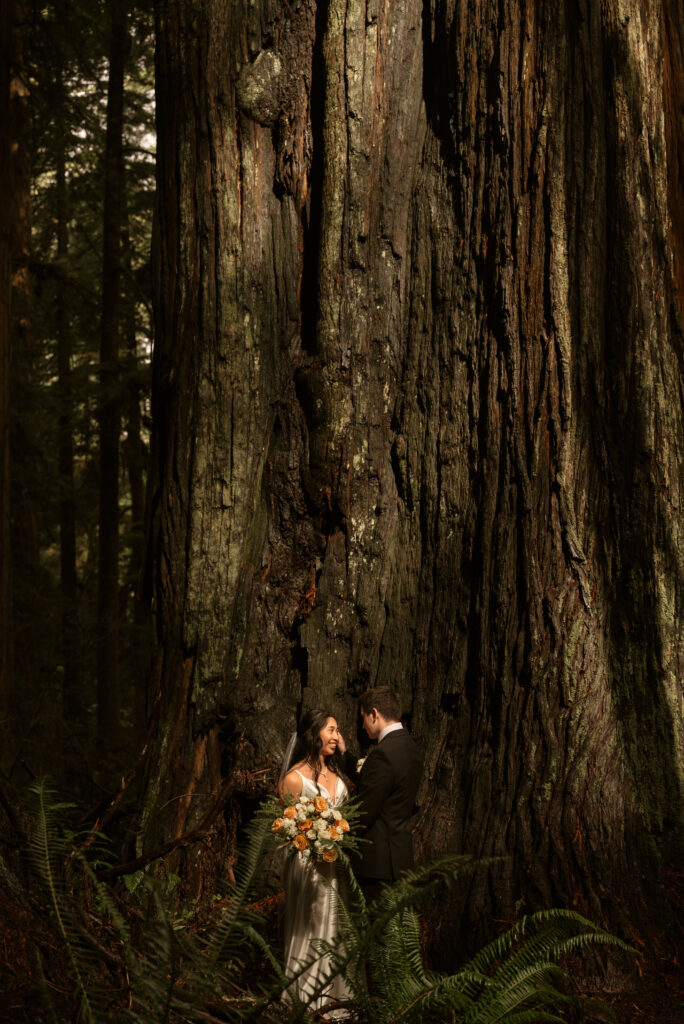 redwoods elopement