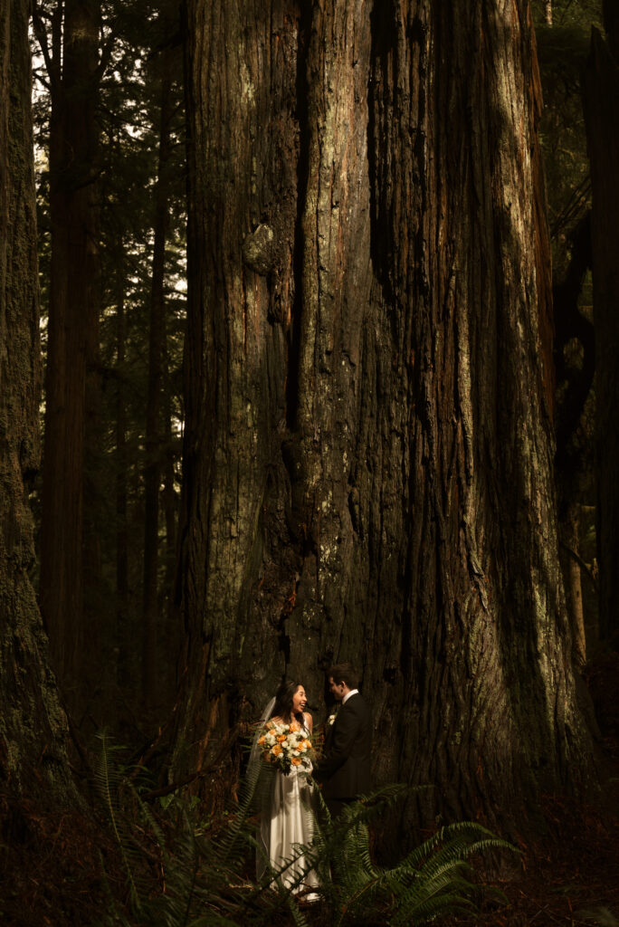 redwoods elopement