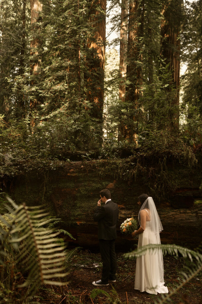 first look redwoods elopement