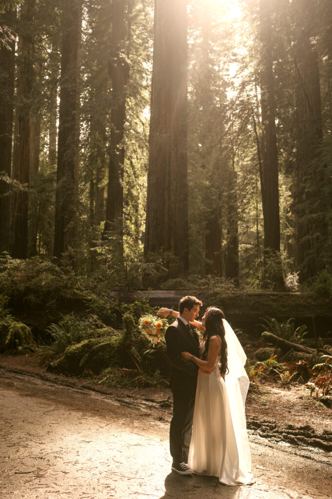 redwoods bridal portraits 