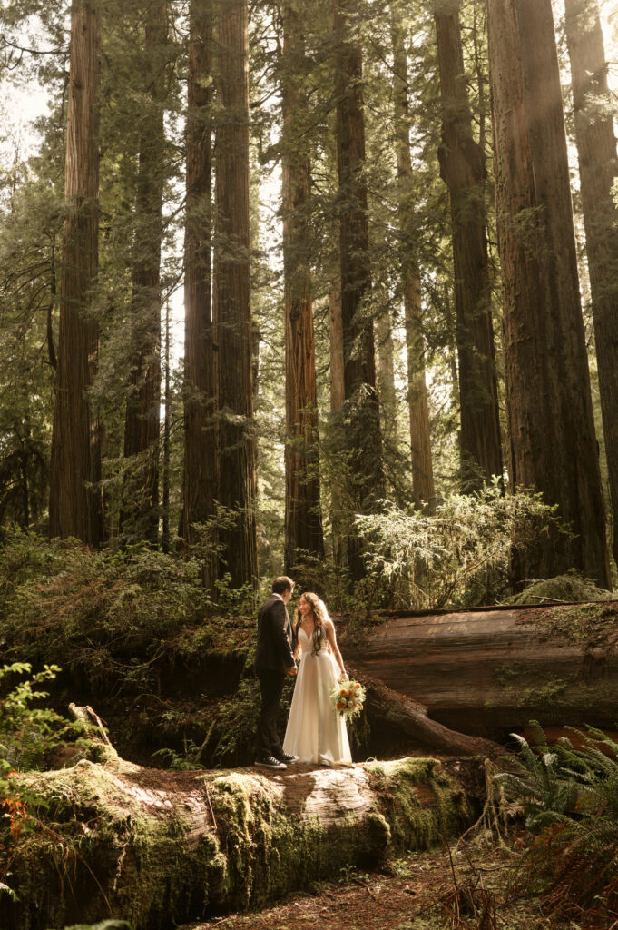 redwoods elopement 