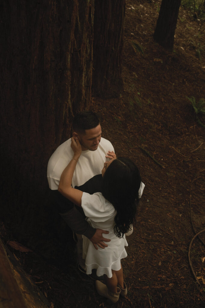 Hoyt Arboretum, Portland Engagement Photos