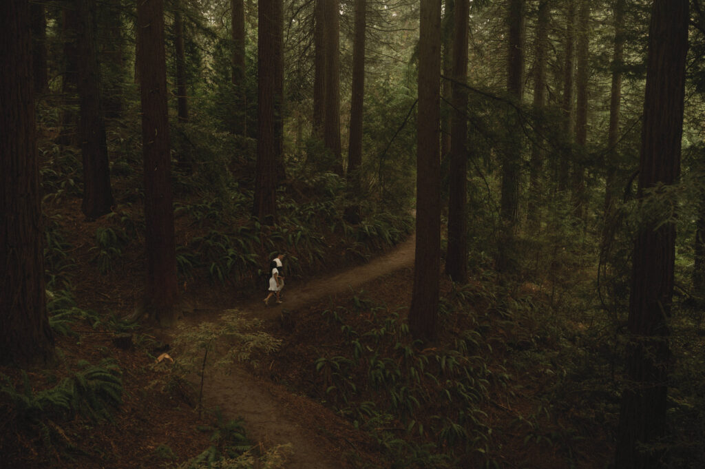 Hoyt Arboretum, Portland Engagement Photos