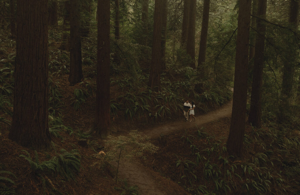 forest engagement photos