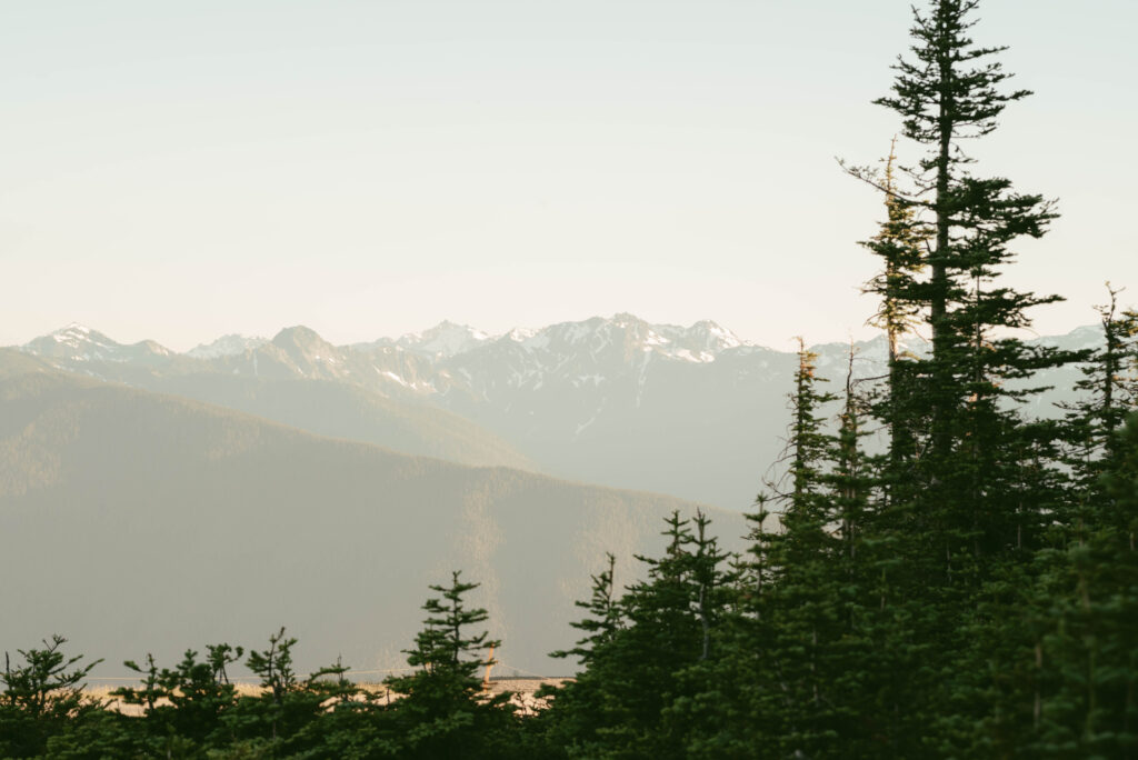 hurricane ridge elopement