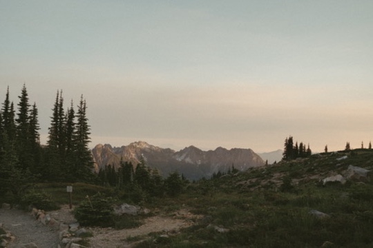 mt rainier national park 