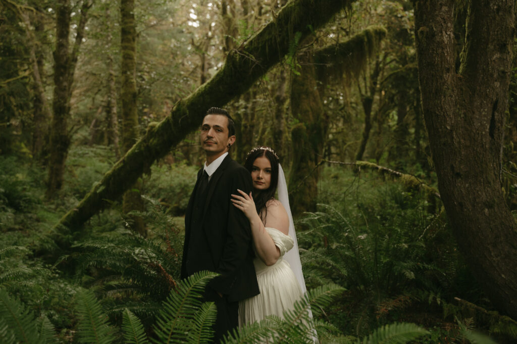 hoh rainforest elopement