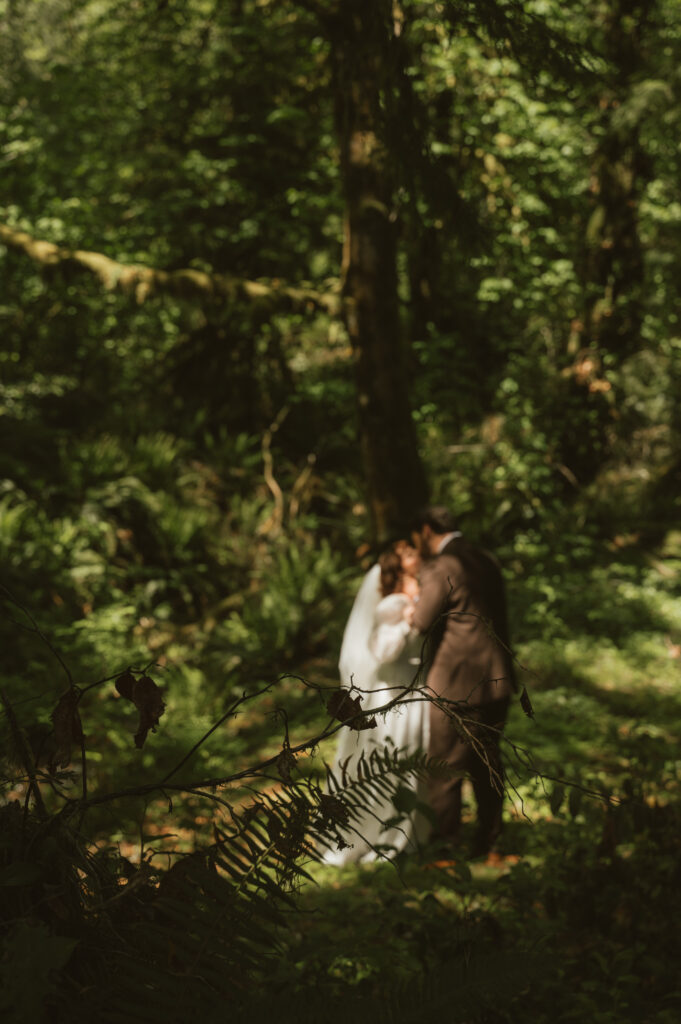 hoh rainforest elopement