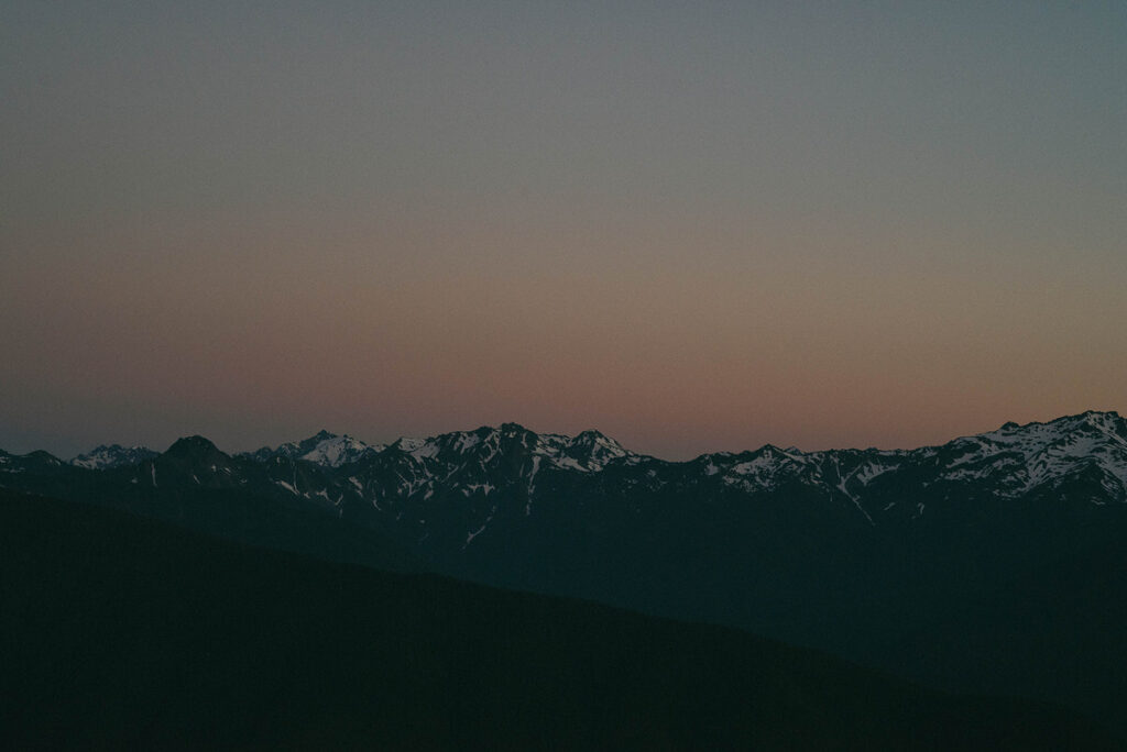 Hurricane Ridge in Olympic National Park 