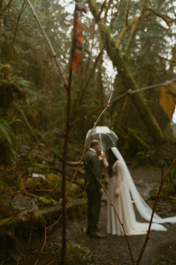 olympic national park wedding