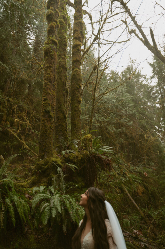 olympic national park wedding