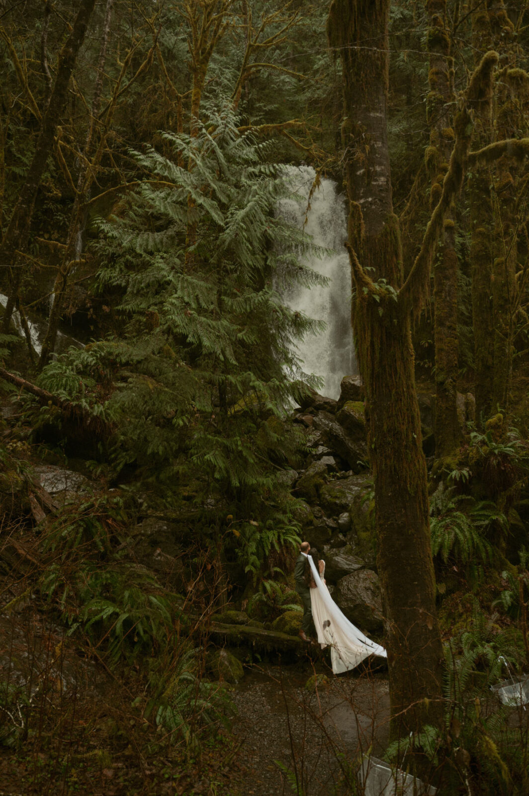 olympic national park wedding