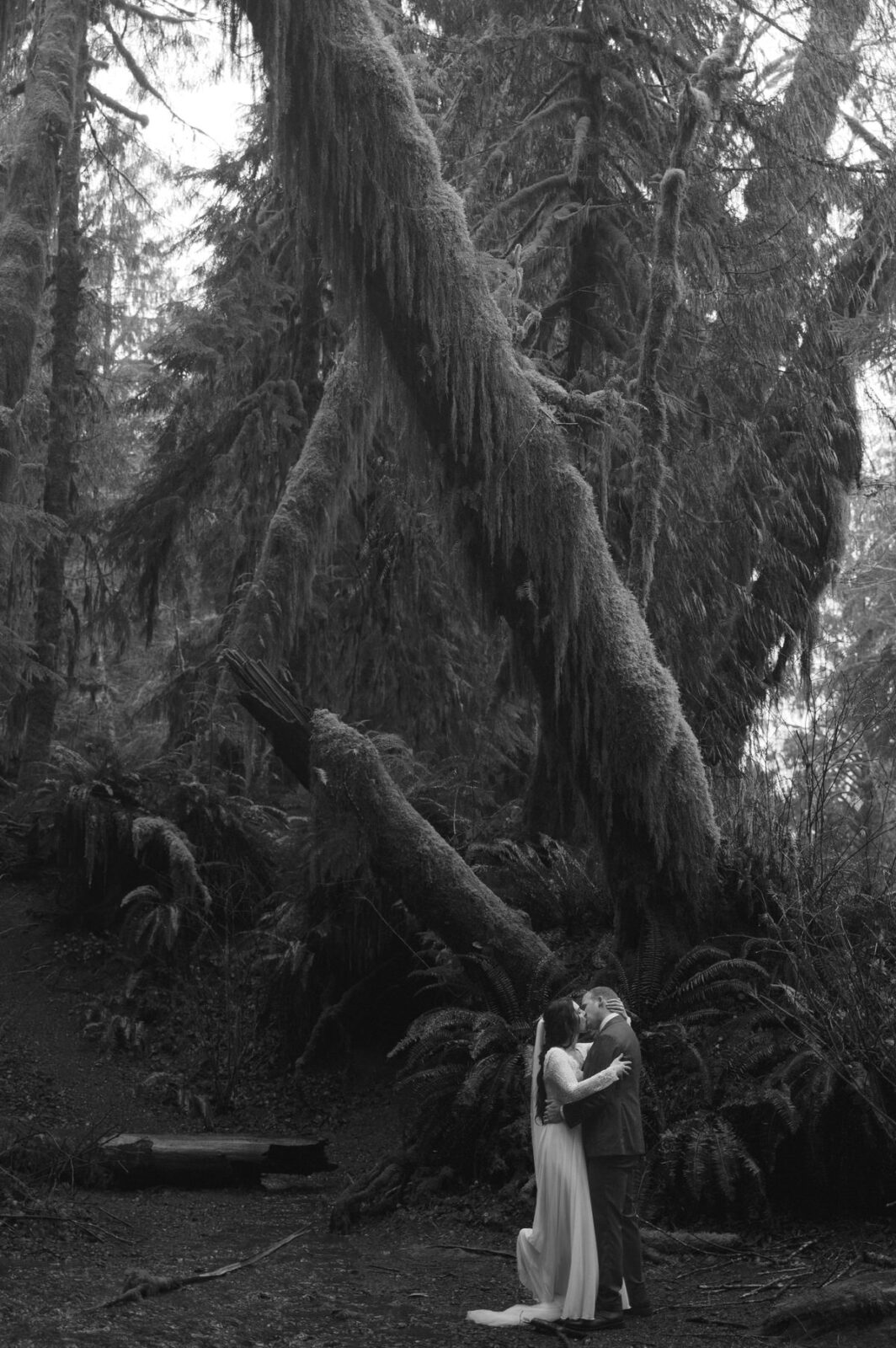 olympic national park wedding