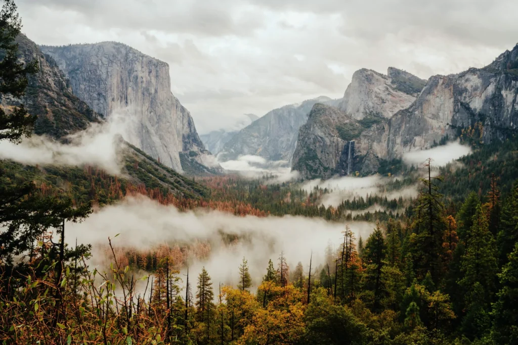 national park elopement