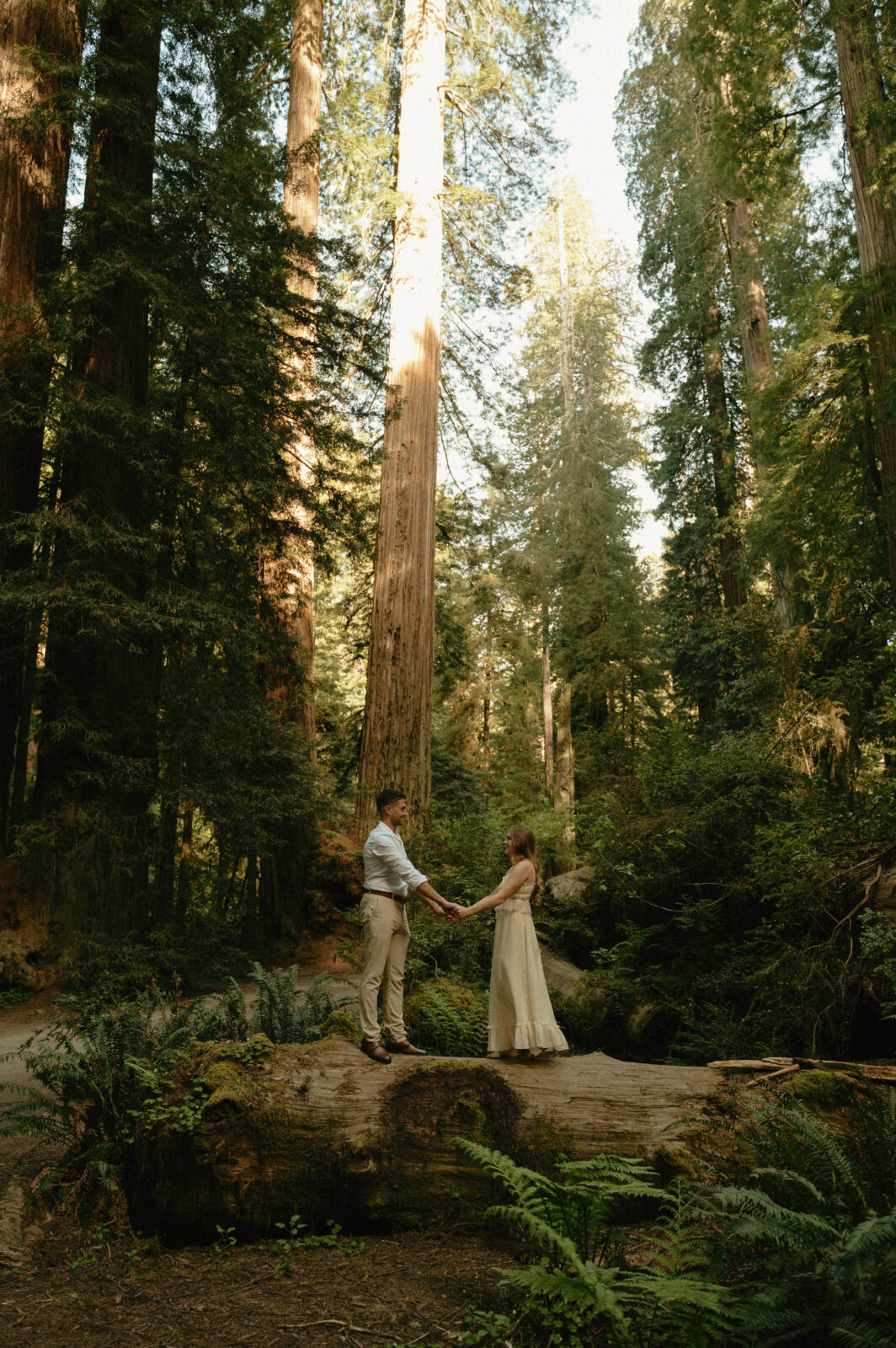 redwoods engagement photos