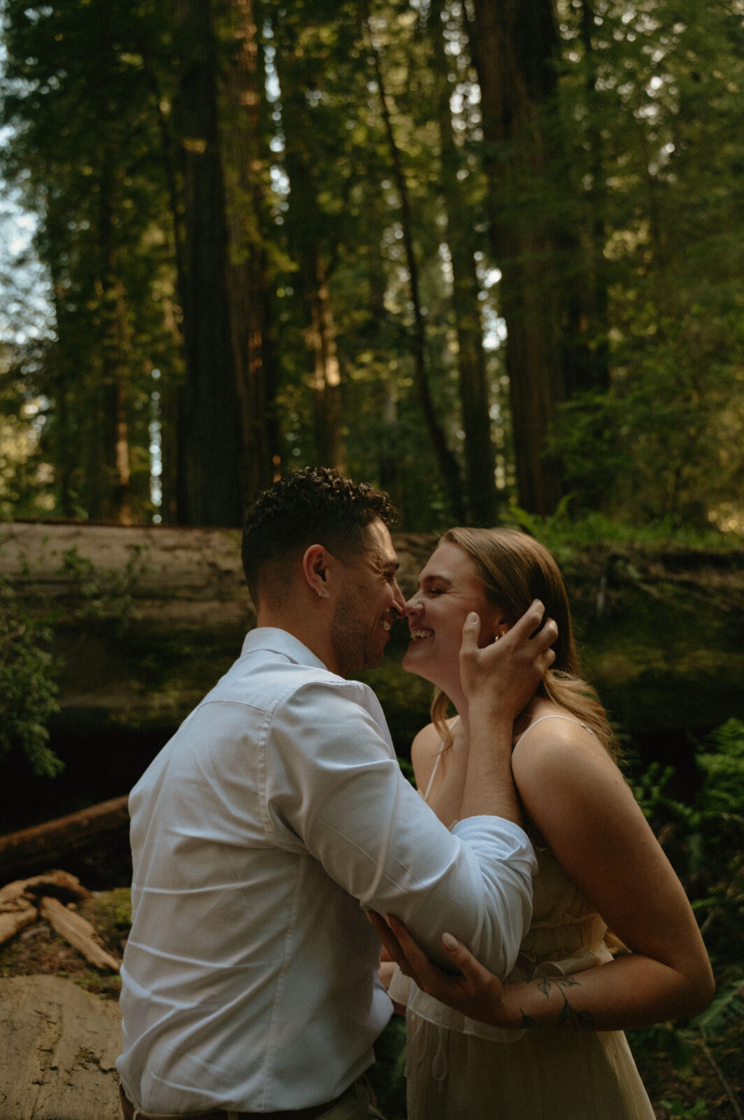 redwoods engagement photos