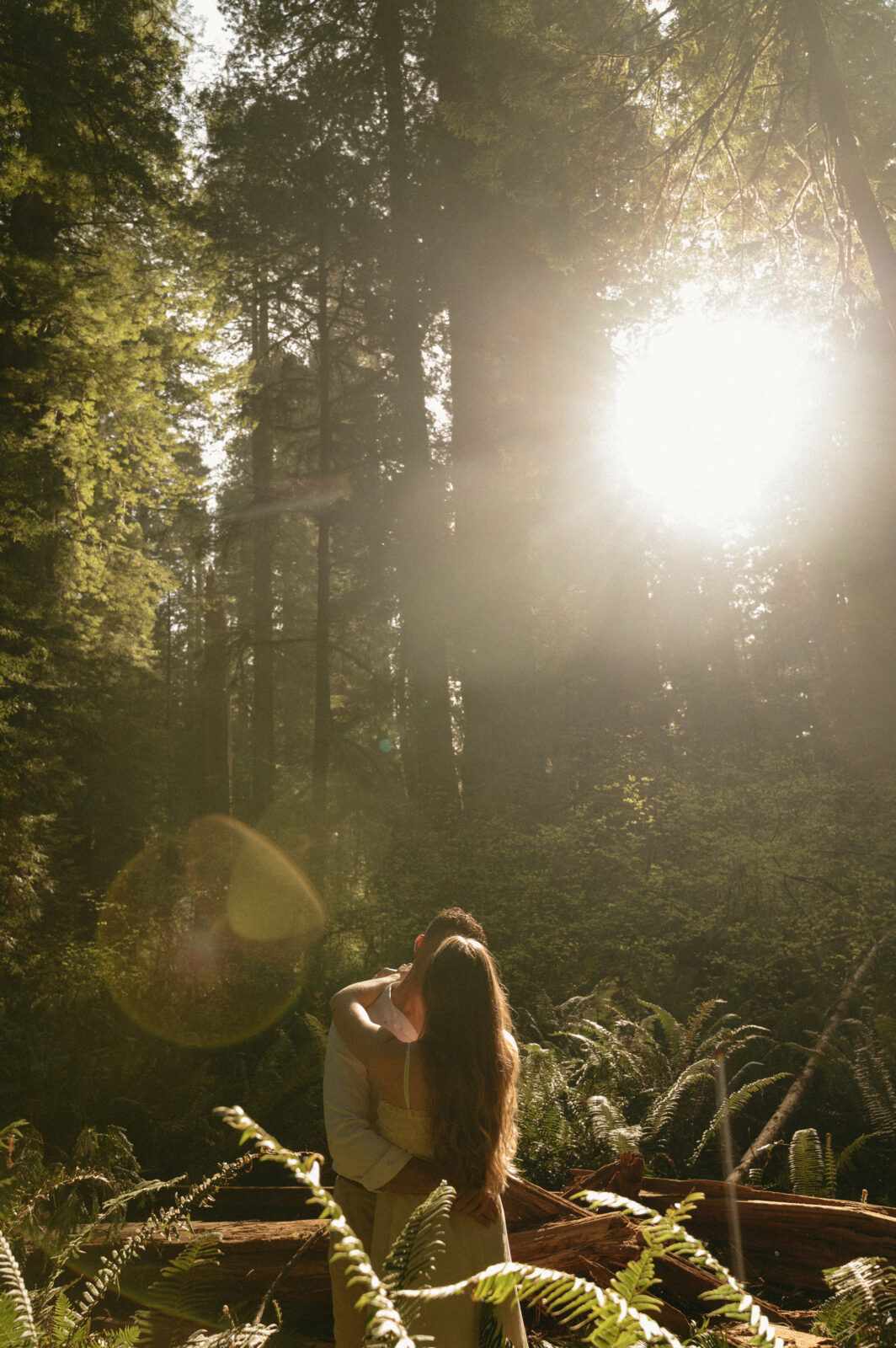 redwoods engagement photos 