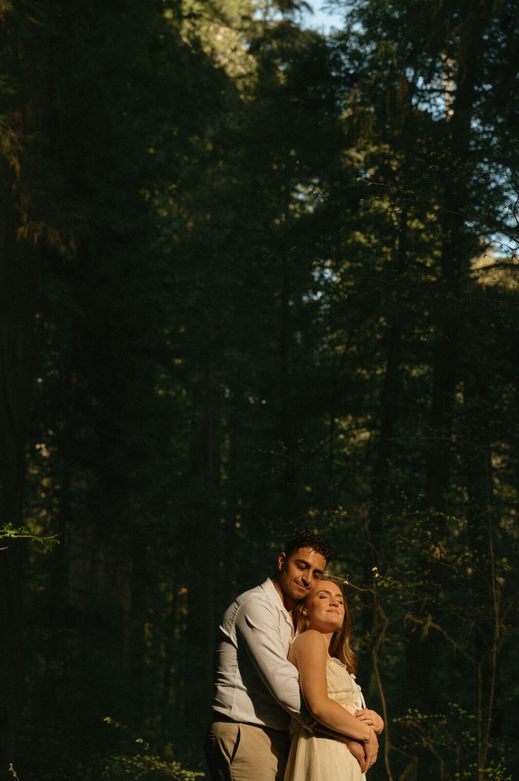 redwoods engagement photos 