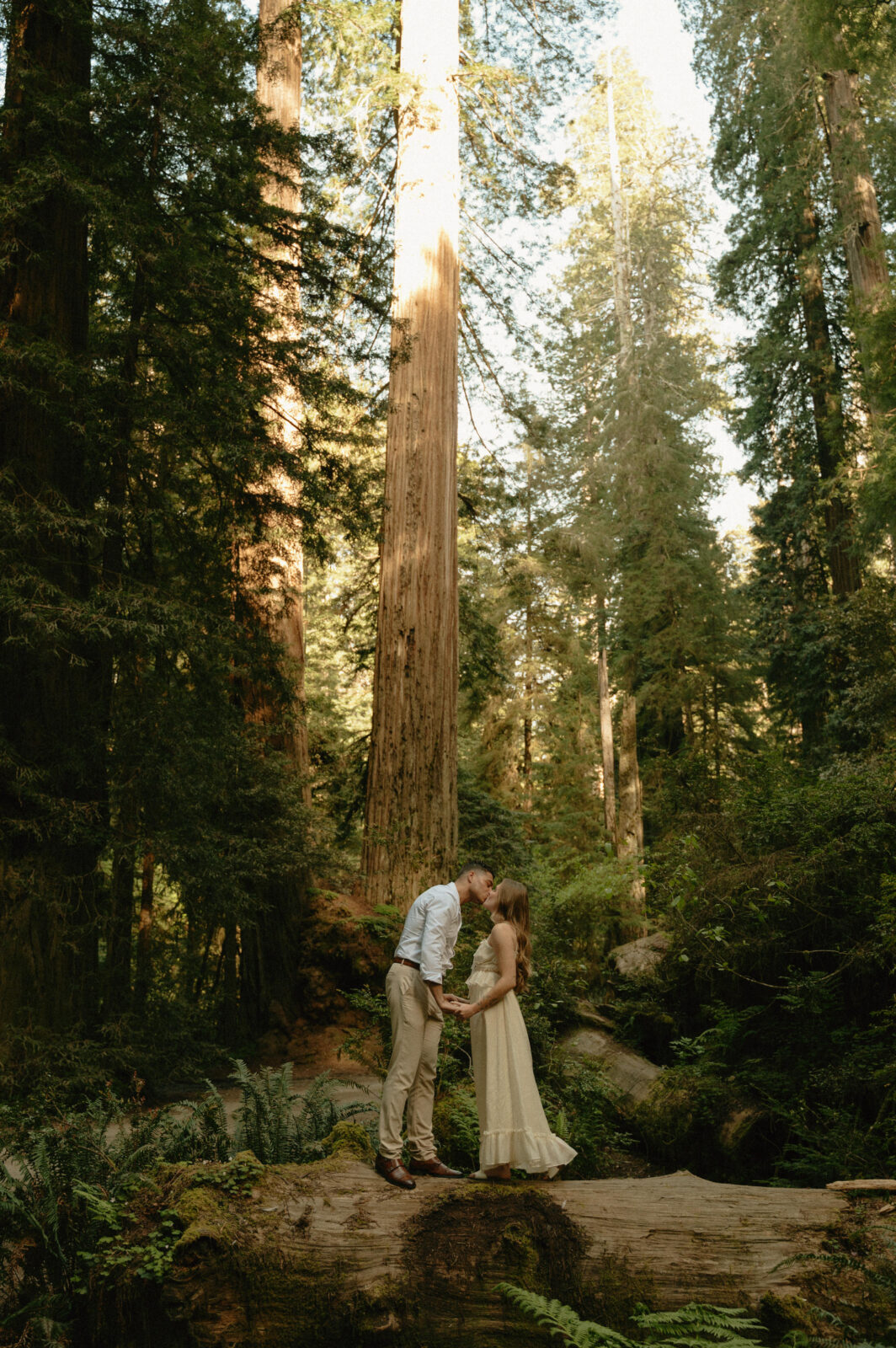 redwoods engagement photos