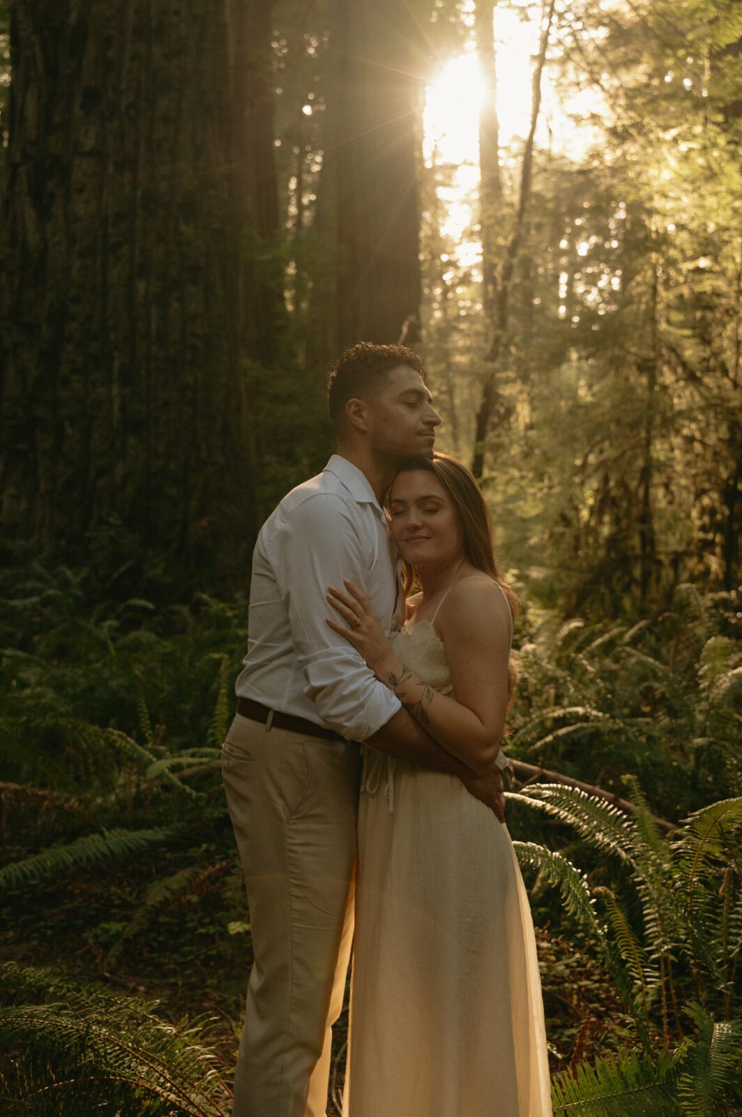 redwoods engagement photos 