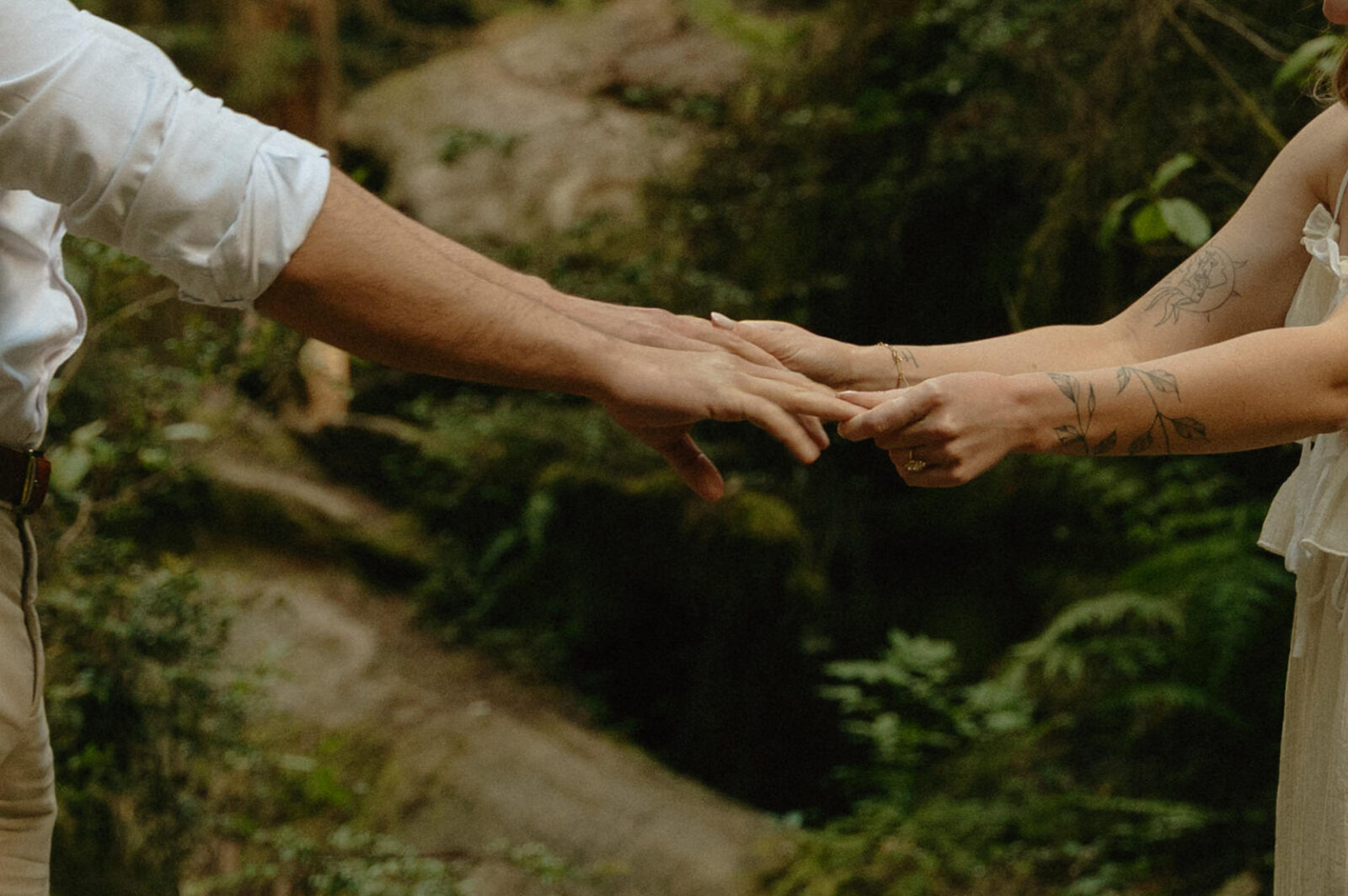 redwoods engagement photos 
