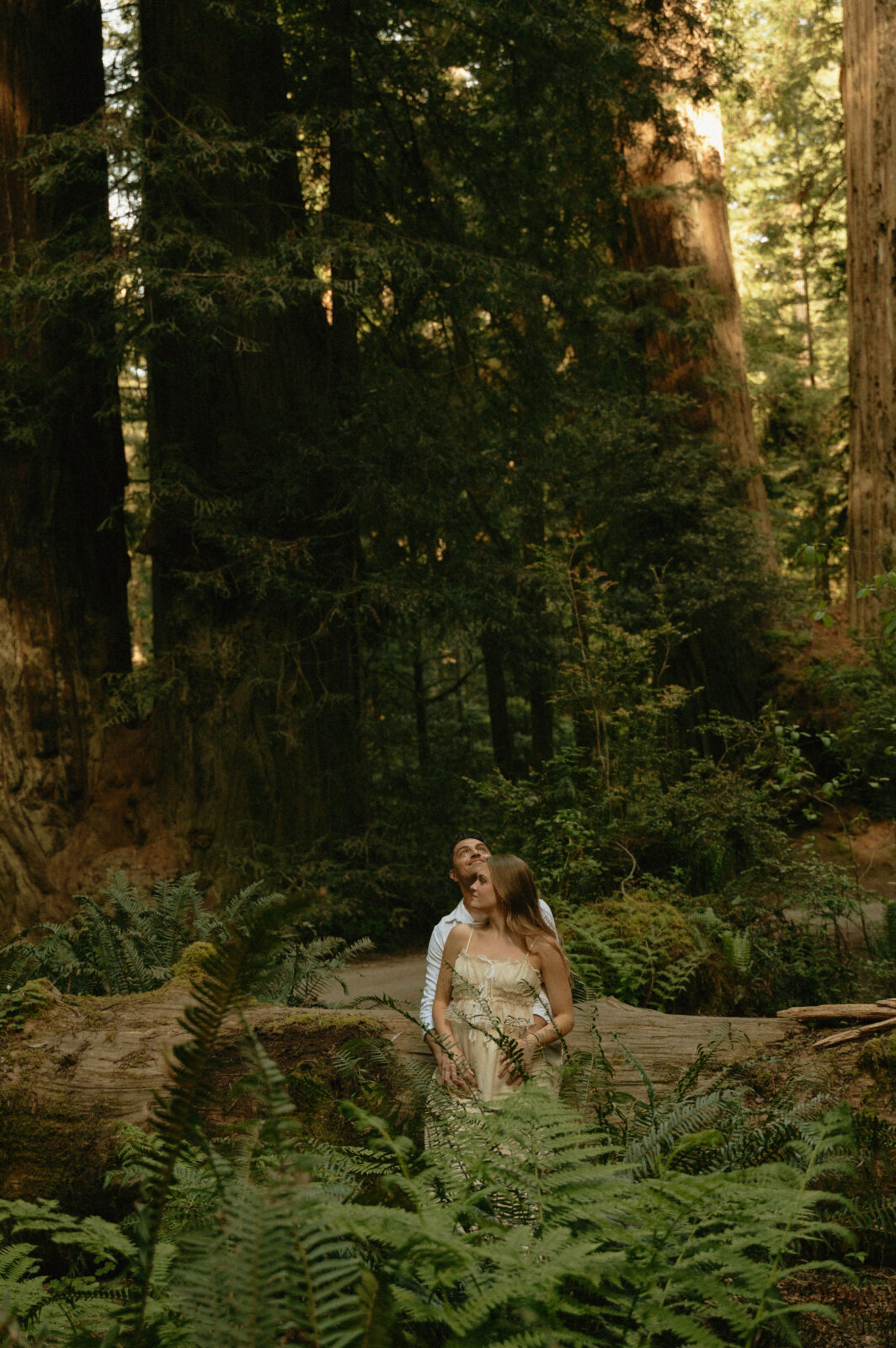 redwoods engagement photos 