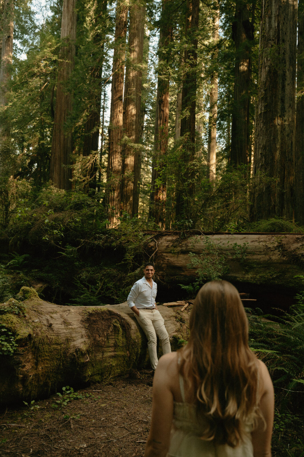 redwoods engagement photos