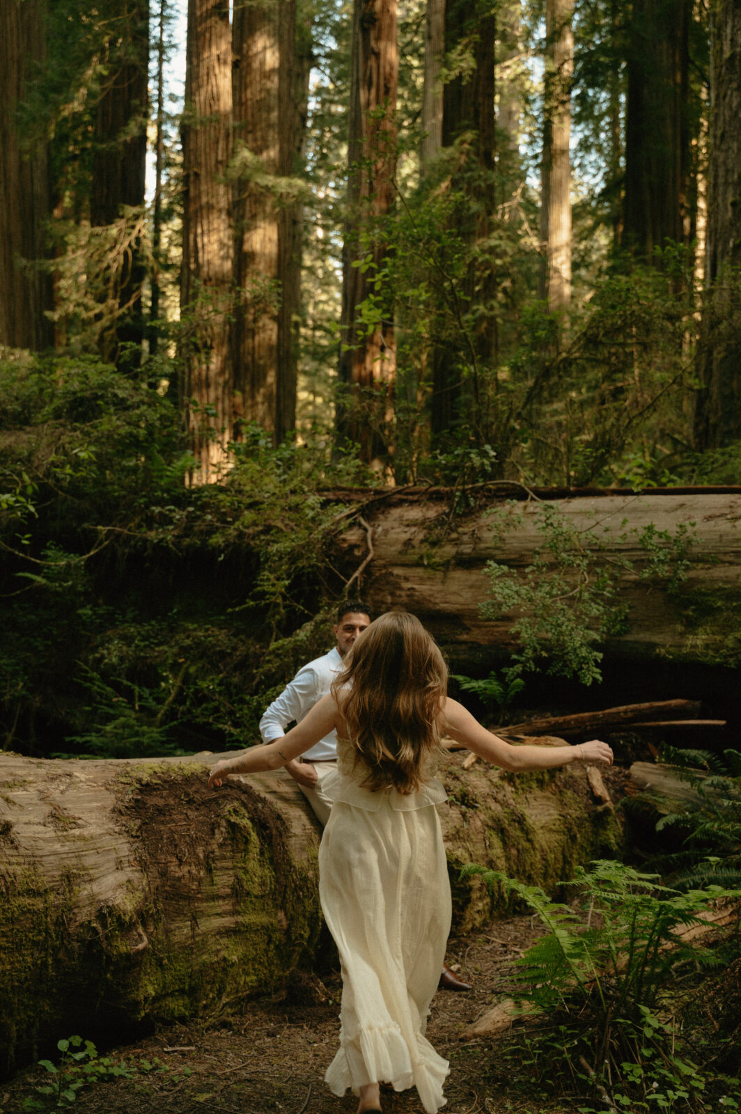 redwoods engagement photos 