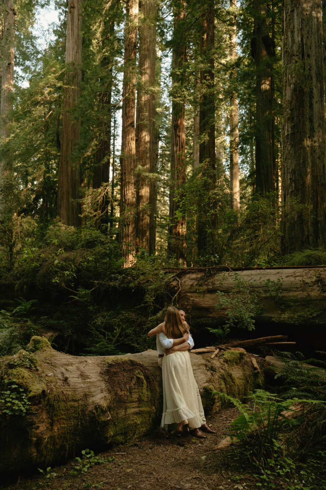 redwoods engagement photos