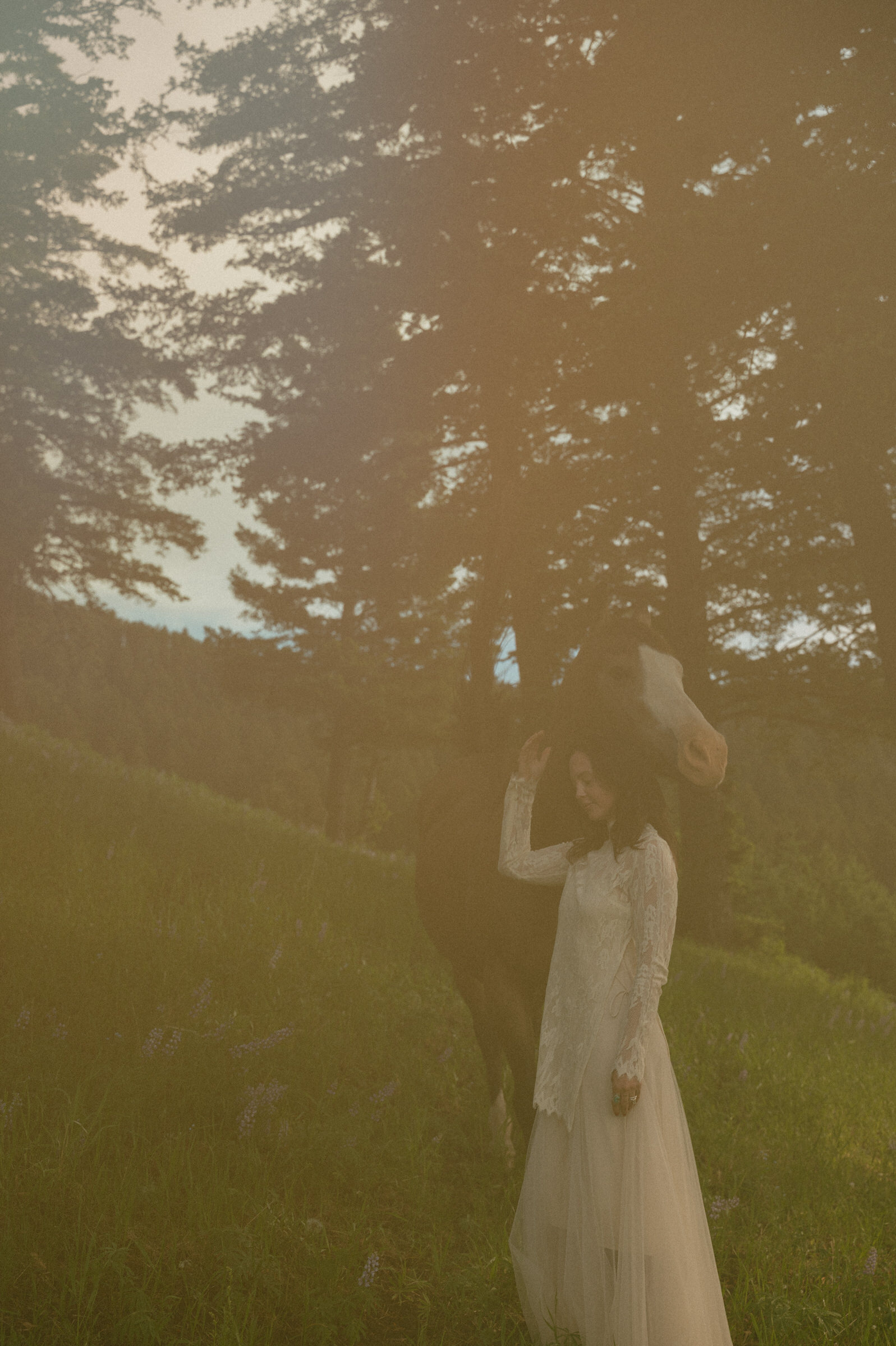 montana elopement with horses
