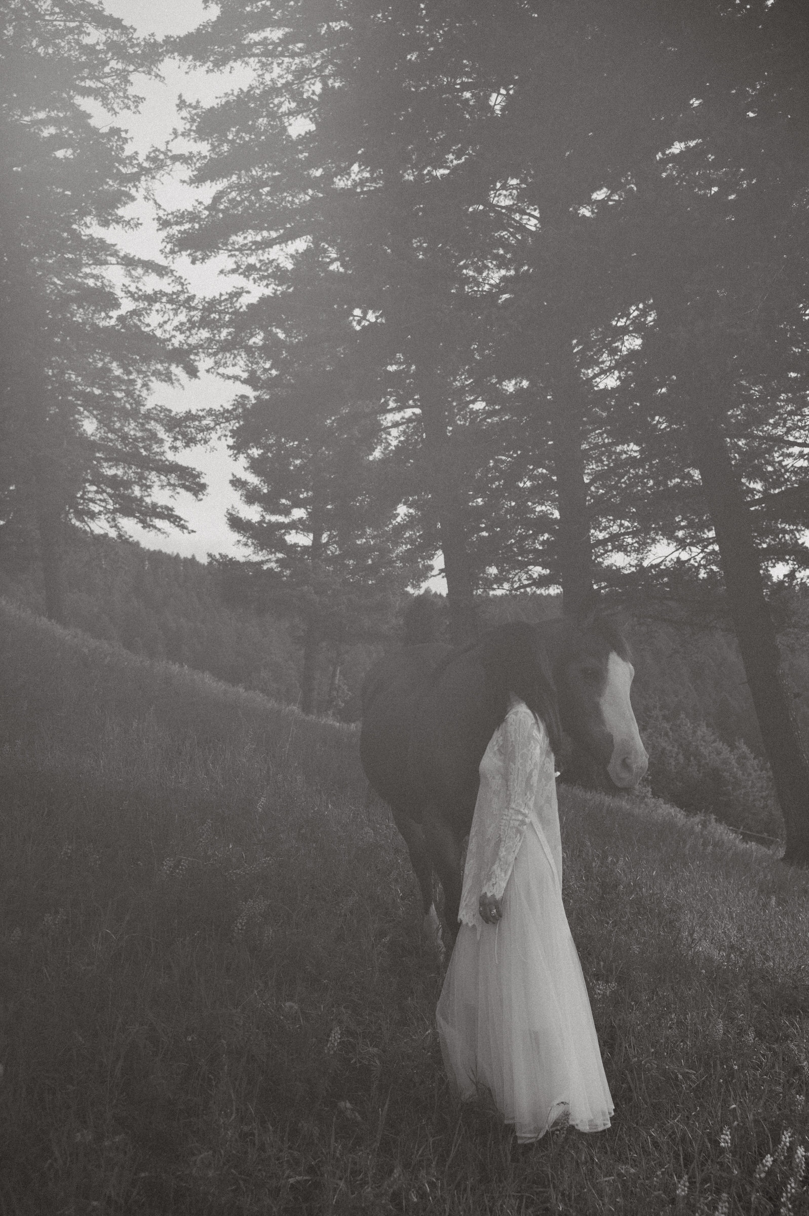 montana elopement with horses
