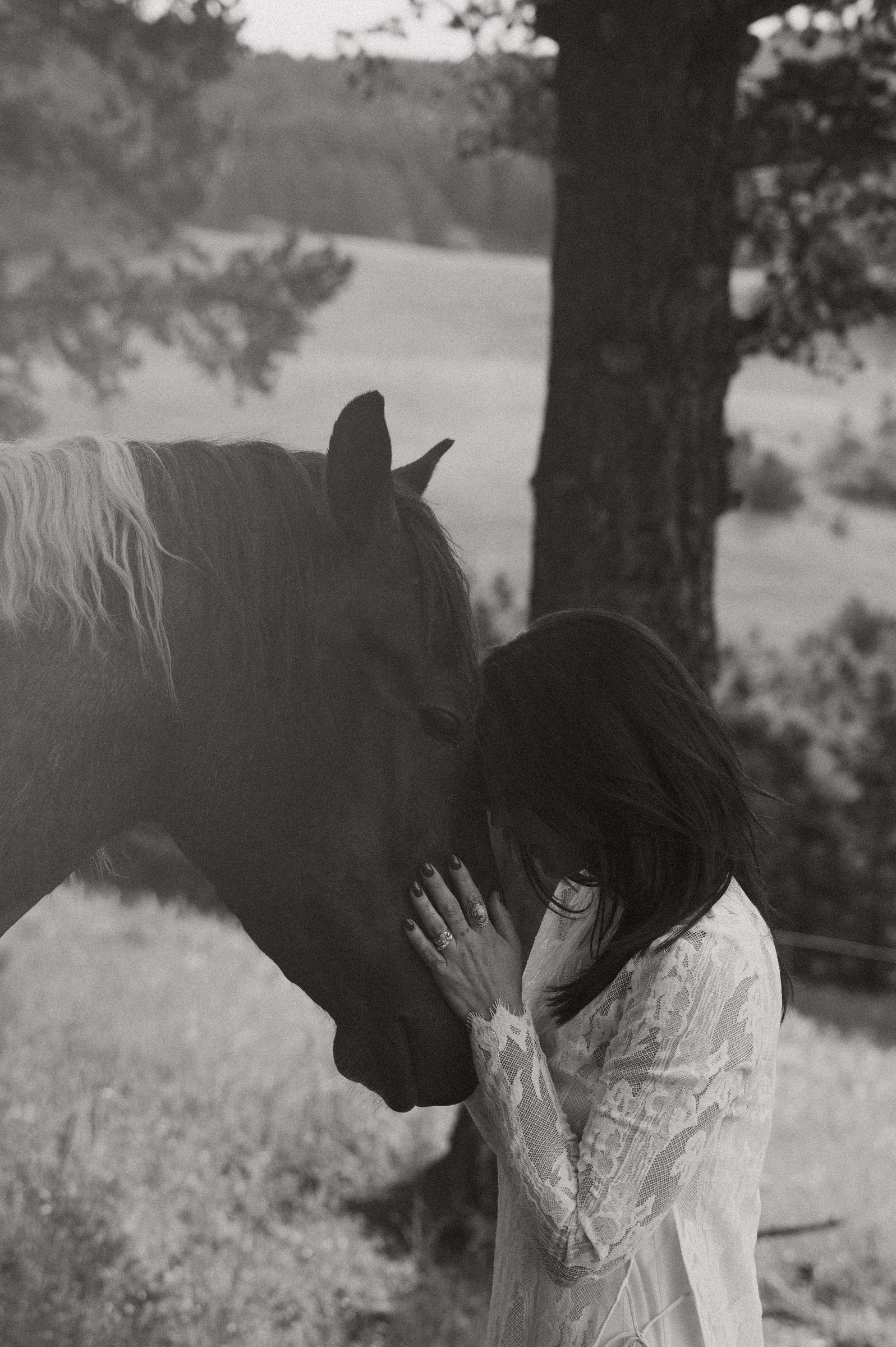montana elopement with horses