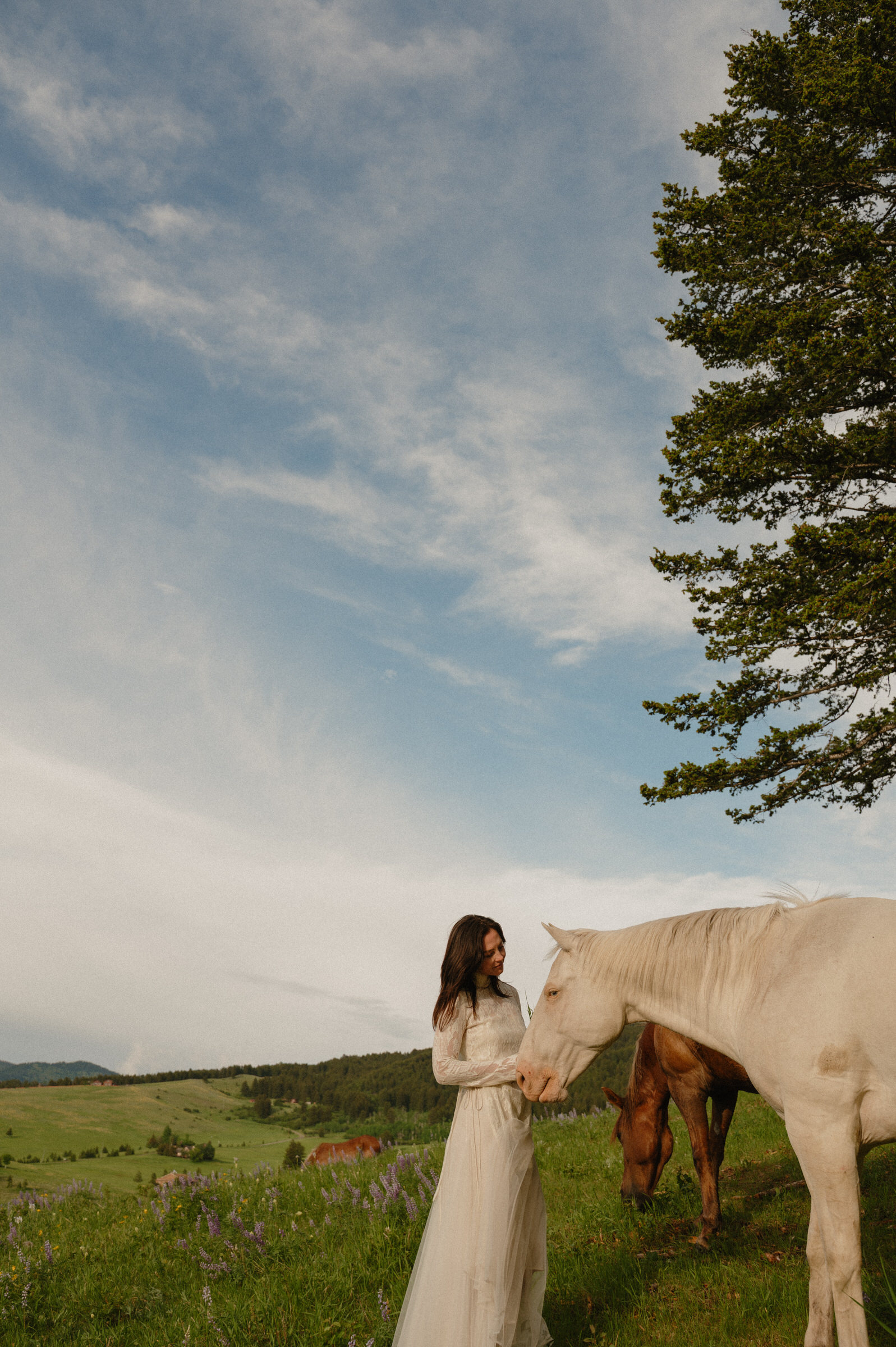 montana elopement with horses