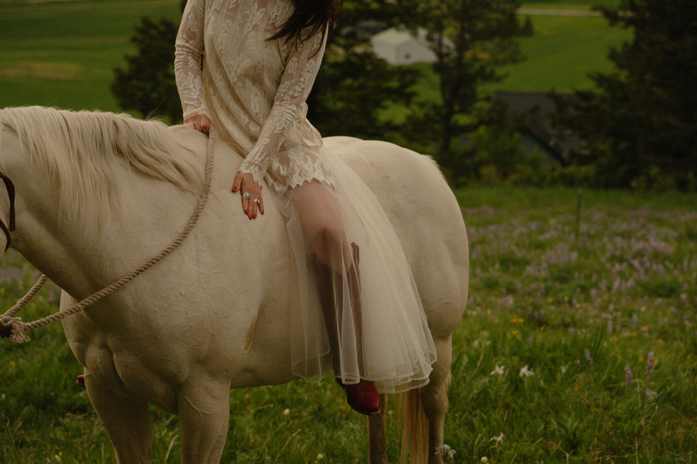 montana elopement with horses