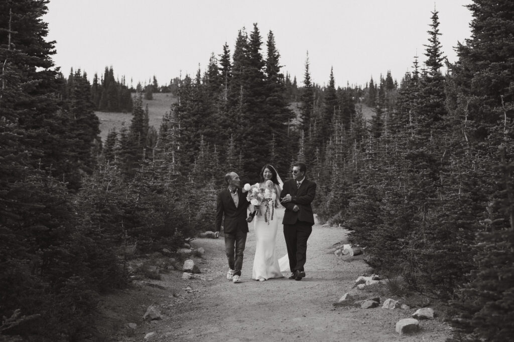 mt rainier wedding ceremony