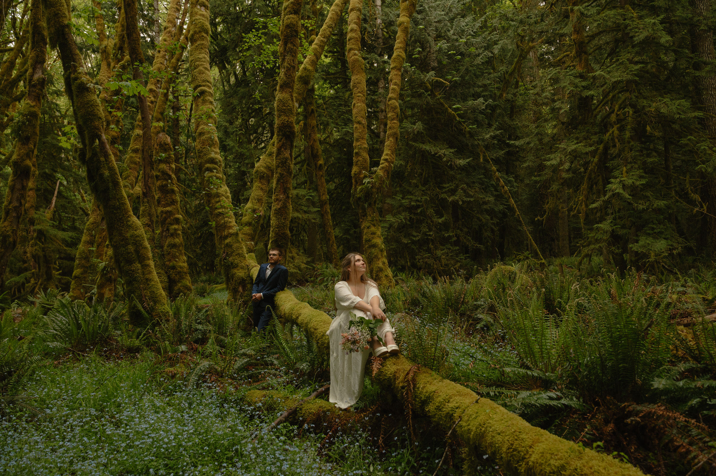 olympic national park engagement photos