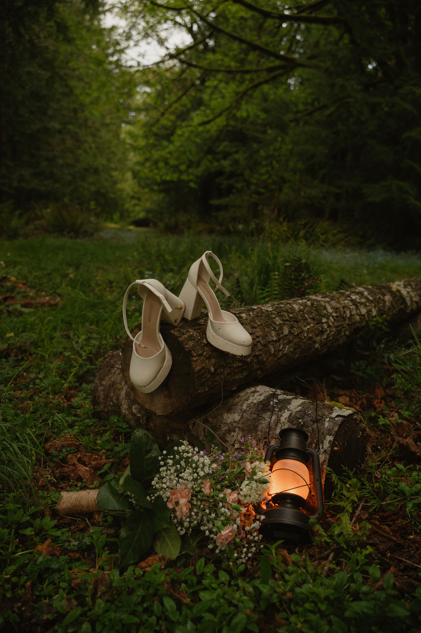 olympic national park engagement photos