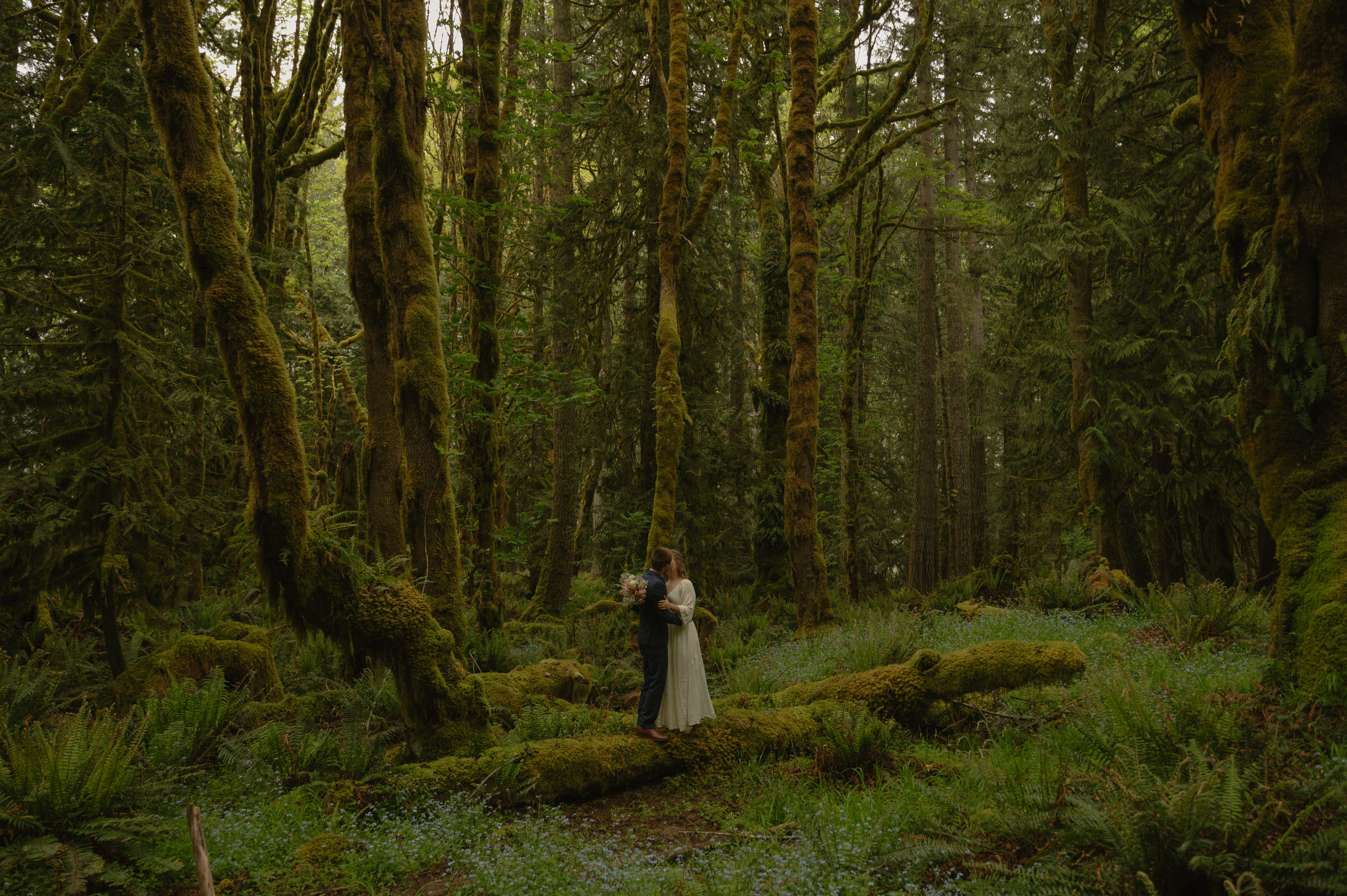 olympic national park engagement photos