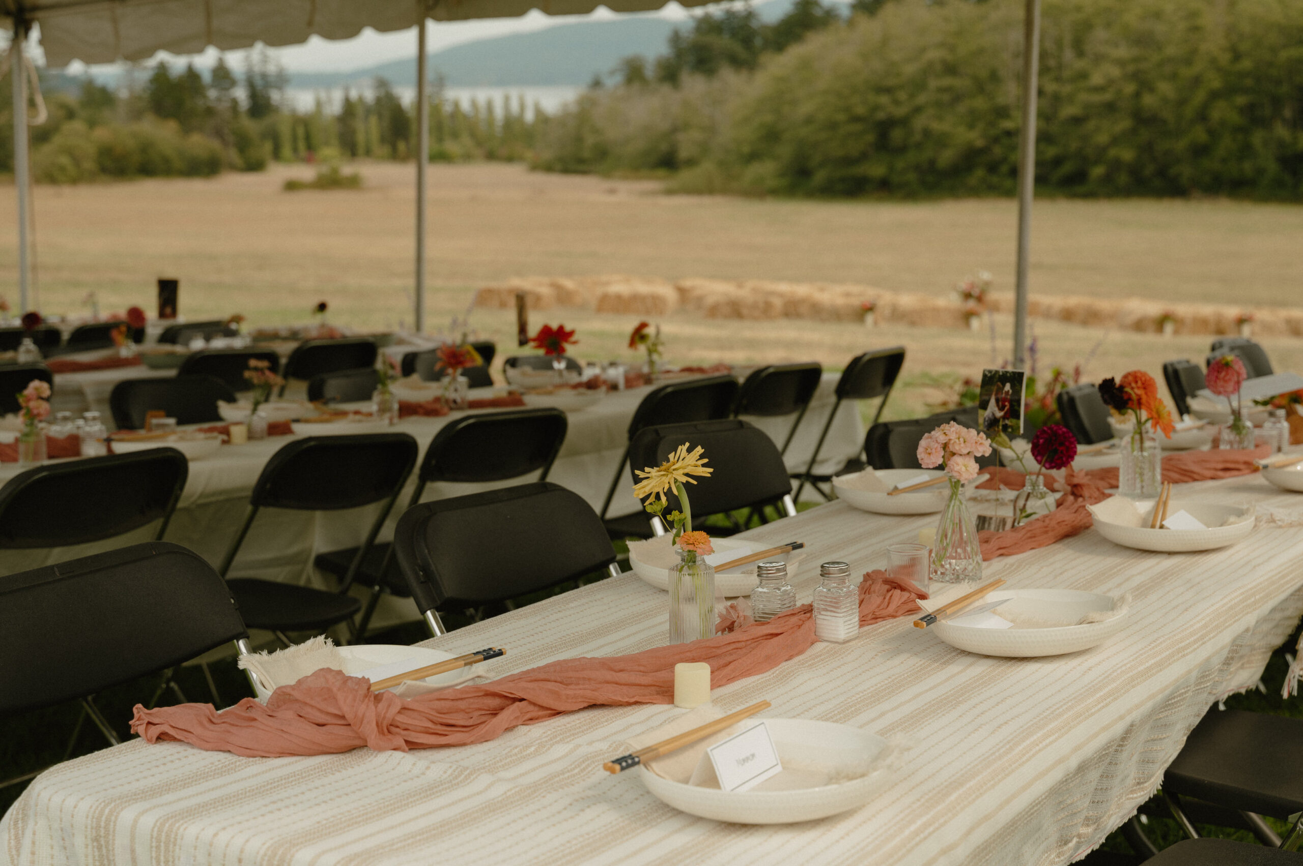 A backyard san juan islands wedding