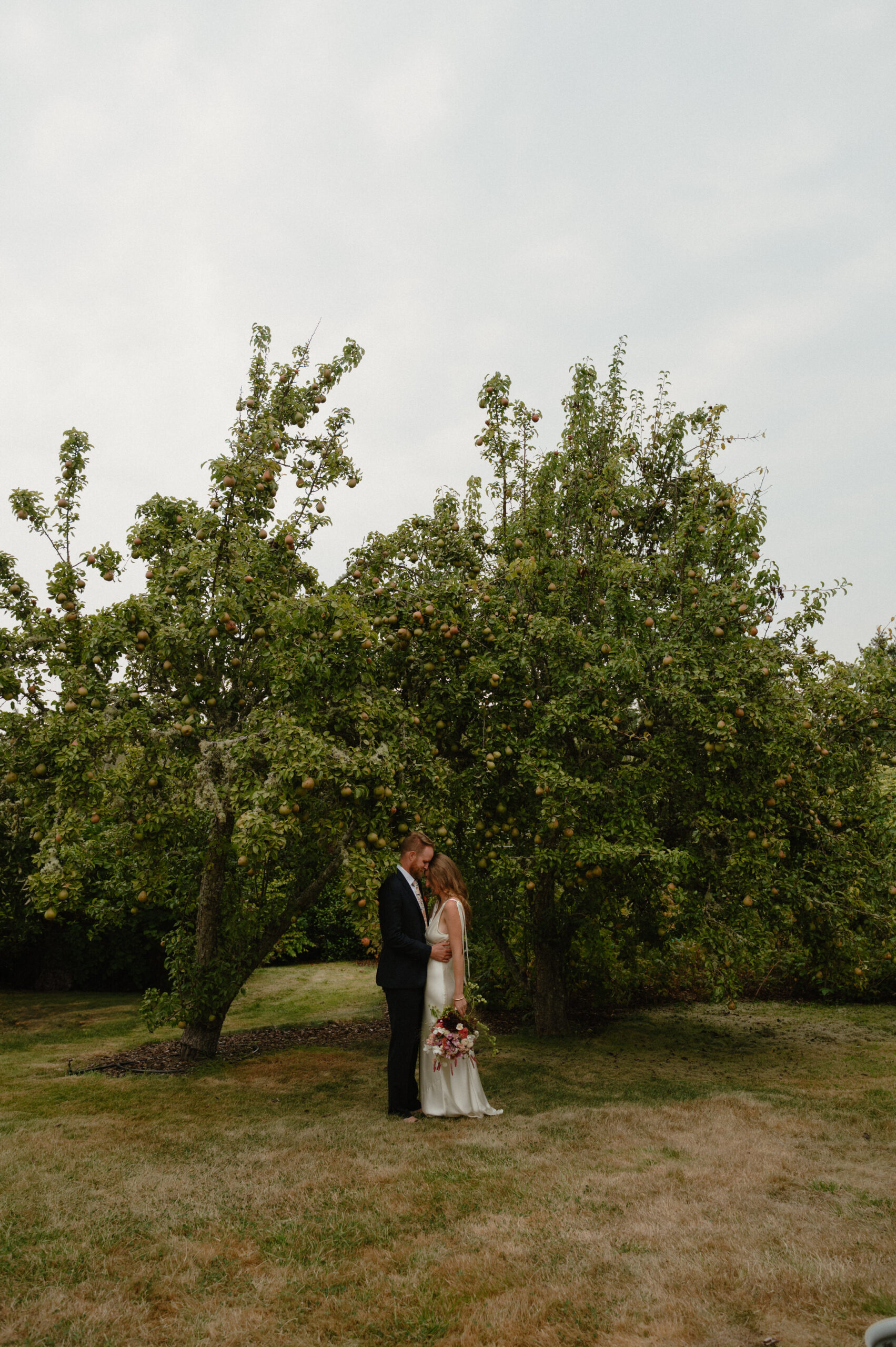 A backyard san juan islands wedding