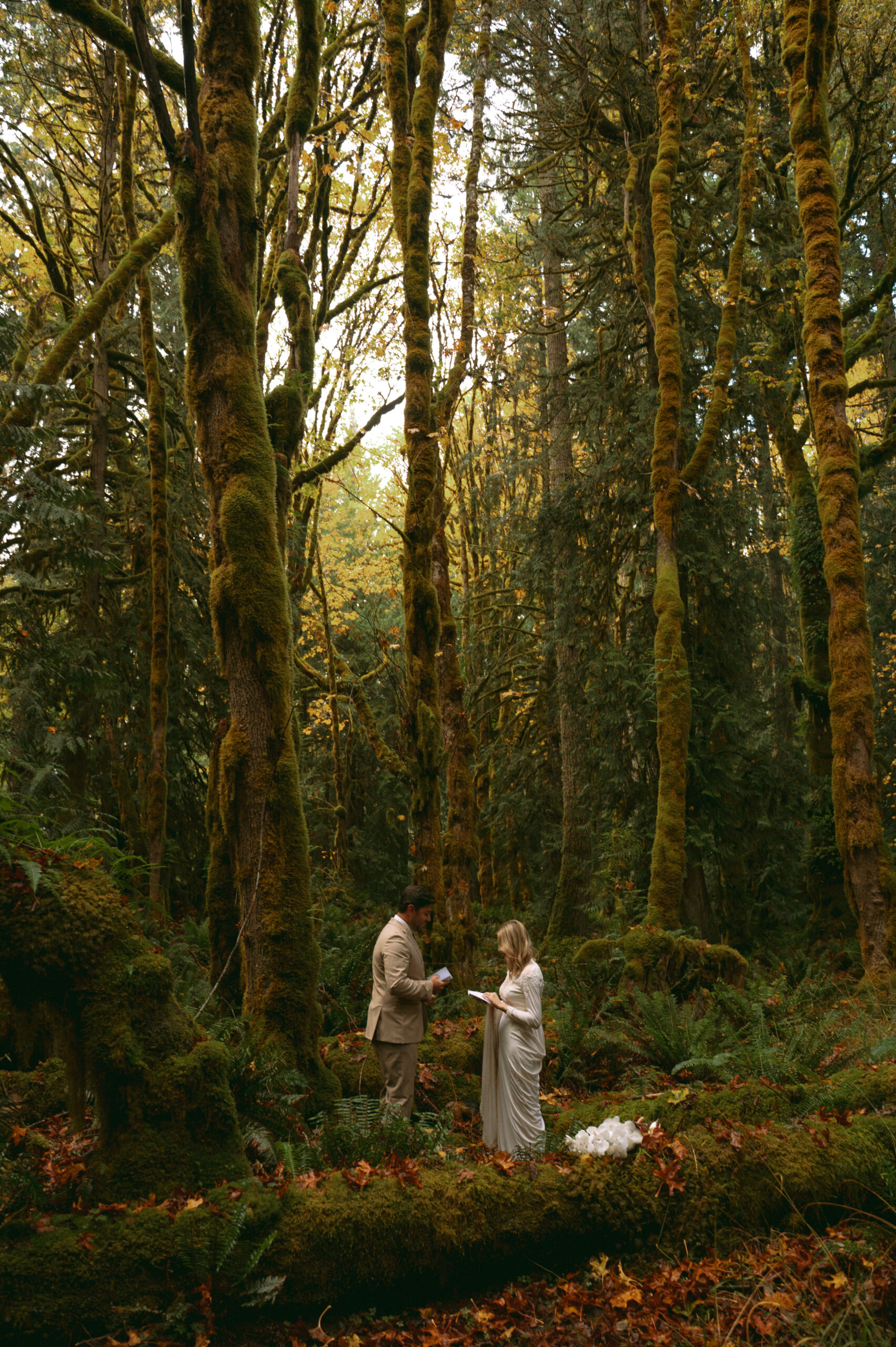 lake crescent elopement
