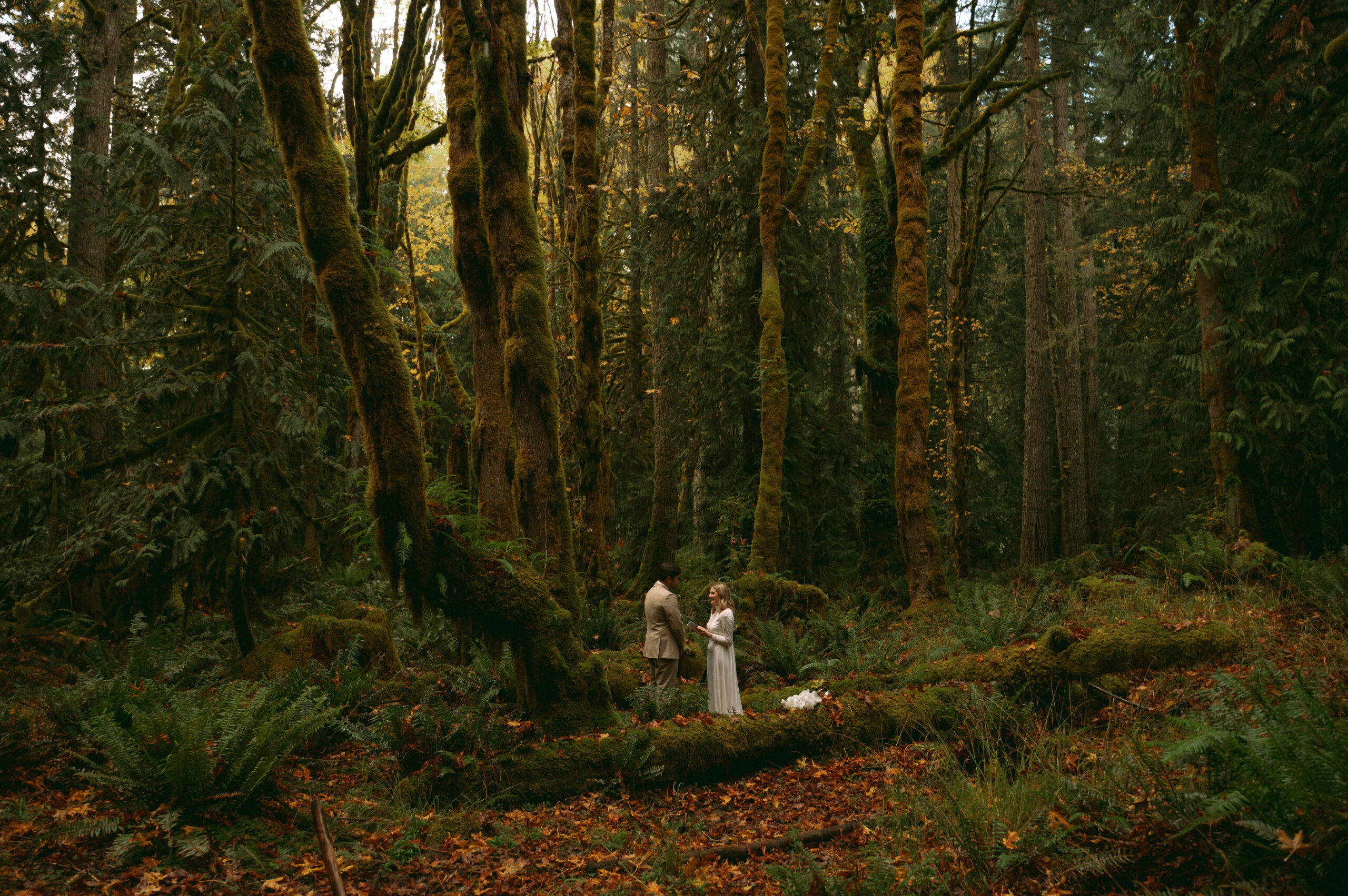 lake crescent elopement