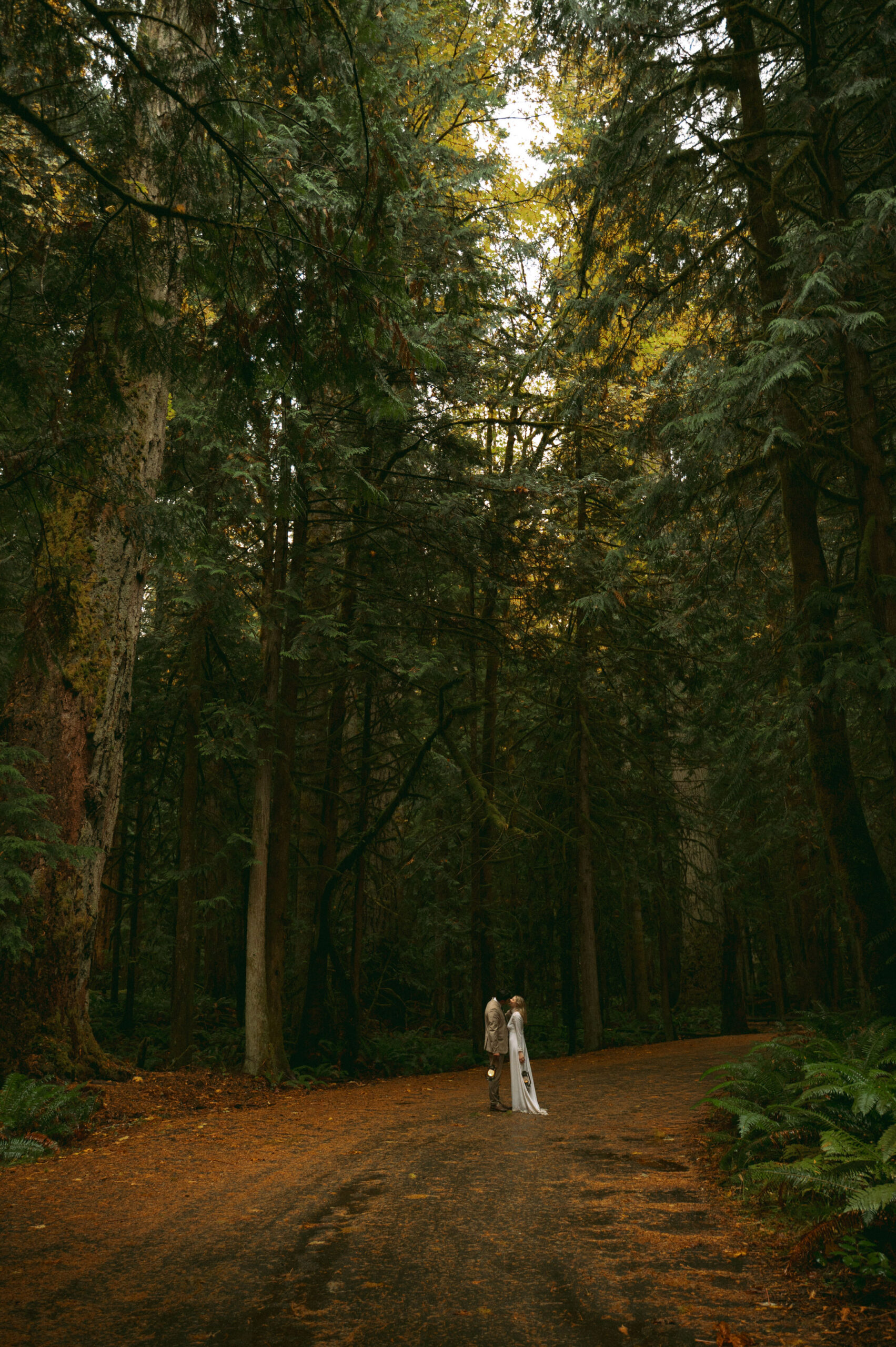 lake crescent elopement