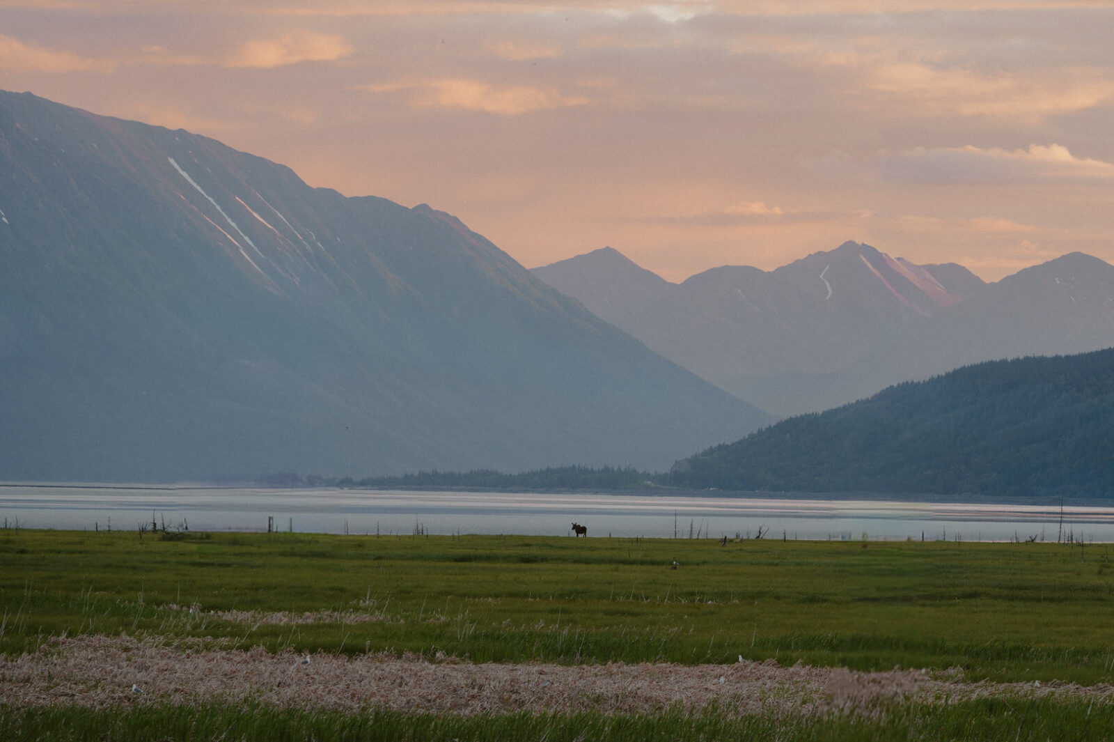 alaska elopement
